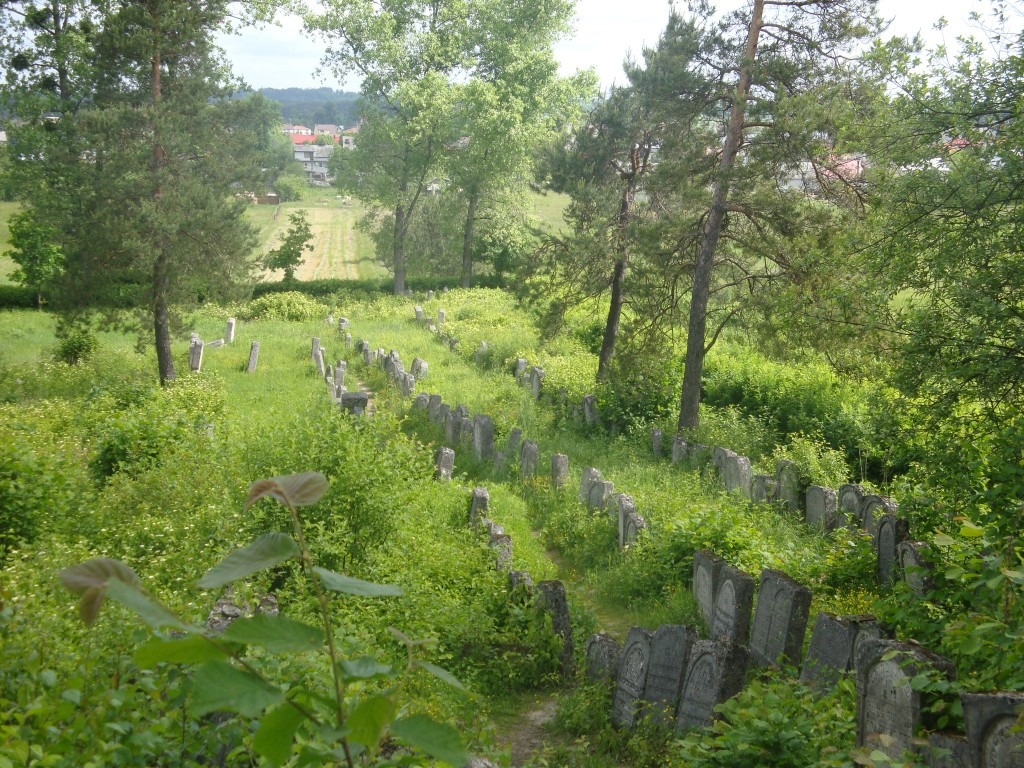 Josefow cemetery and the shtetl